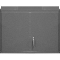 Wall-Mounted Cabinet, 27" H x 29-7/8" W x 13-11/16" D, 2 Shelves, Steel, Grey FL992 | Pronet Distribution