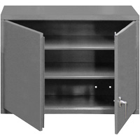 Wall-Mounted Cabinet, 27" H x 29-7/8" W x 13-11/16" D, 2 Shelves, Steel, Grey FL992 | Pronet Distribution