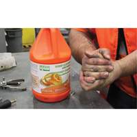 Nettoyant pour les mains à l'orange, Pierre ponce, 3,6 L, Cruche, Orange JG223 | Pronet Distribution