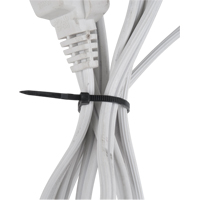 Attaches de câbles, Longueur 6", Résistance à la traction 40 lb, Noir PF388 | Pronet Distribution