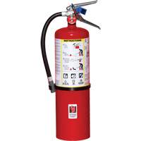 Extincteur d'incendie, ABC, Capacité 10 lb SA443 | Pronet Distribution
