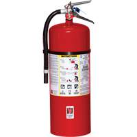 Extincteur d'incendie, ABC, Capacité 20 lb SA444 | Pronet Distribution