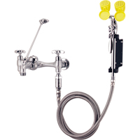 Faucet & Eyewash Station, Sink Mount Installation SAY103 | Pronet Distribution