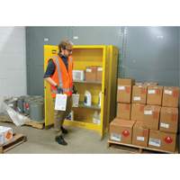 Flammable Storage Cabinet, 45 gal., 2 Door, 43" W x 65" H x 18" D SDN647 | Pronet Distribution