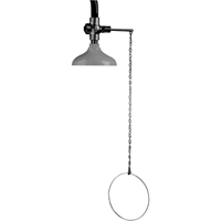 Lifesaver<sup>®</sup> Emergency Overhead Showers, Ceiling-Mount SF859 | Pronet Distribution