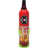 Fire Extinguisher, ABC/K, 2 lbs. Capacity SGC461 | Pronet Distribution