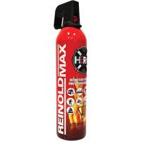 Fire Extinguisher, ABC/K, 2 lbs. Capacity SGC461 | Pronet Distribution