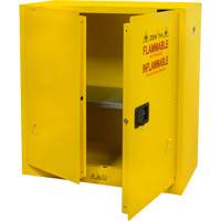 Flammable Storage Cabinet, 30 gal., 2 Door, 43" W x 44" H x 18" D SGU465 | Pronet Distribution