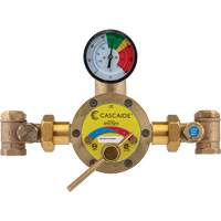 Mixing Valve for Exposed Assembly of Drench or Combination Emergency Shower, 56 GPM SGX711 | Pronet Distribution