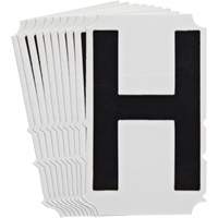 Quick-Align<sup>®</sup>Individual Gothic Number and Letter Labels, H, 4" H, Black SZ996 | Pronet Distribution
