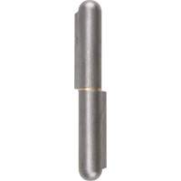 Weld-On Hinge, 0.787" Dia. x 5.906" L, Mild Steel w/Fixed Steel Pin TTV442 | Pronet Distribution