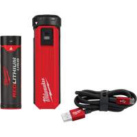 Trousse d'alimentation et de chargeur USB Redlithium<sup>MC</sup>, 4 V, Lithium-ion UAG279 | Pronet Distribution