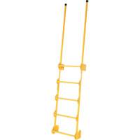 Walk-Through Style Dock Ladder VD450 | Pronet Distribution