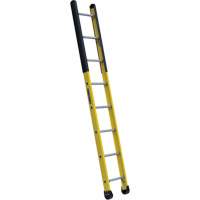 Single Manhole Ladder, 8', Fibreglass, 375 lbs., CSA Grade 1AA VD468 | Pronet Distribution