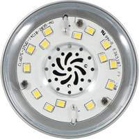 Lampe haute luminosité Ultra LED<sup>MC</sup>, DHI, 27 W, 3600 lumens, base Moyen XI553 | Pronet Distribution