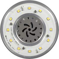 Lampe haute luminosité Ultra LED<sup>MC</sup>, DHI, 36 W, 4800 lumens, base Mogul XI556 | Pronet Distribution