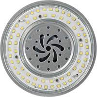 Lampe haute luminosité Ultra LED<sup>MC</sup>, DHI, 80 W, 10800 lumens, base Mogul XI562 | Pronet Distribution